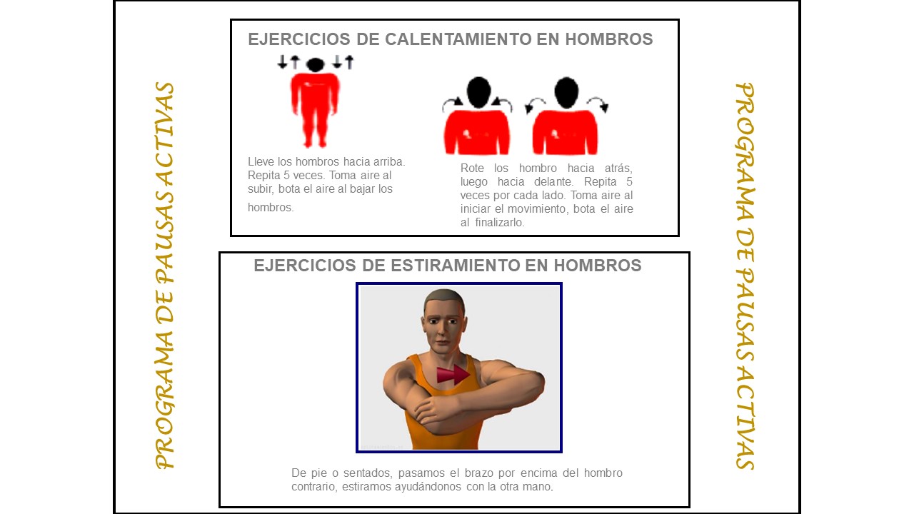 12. pausas activas
