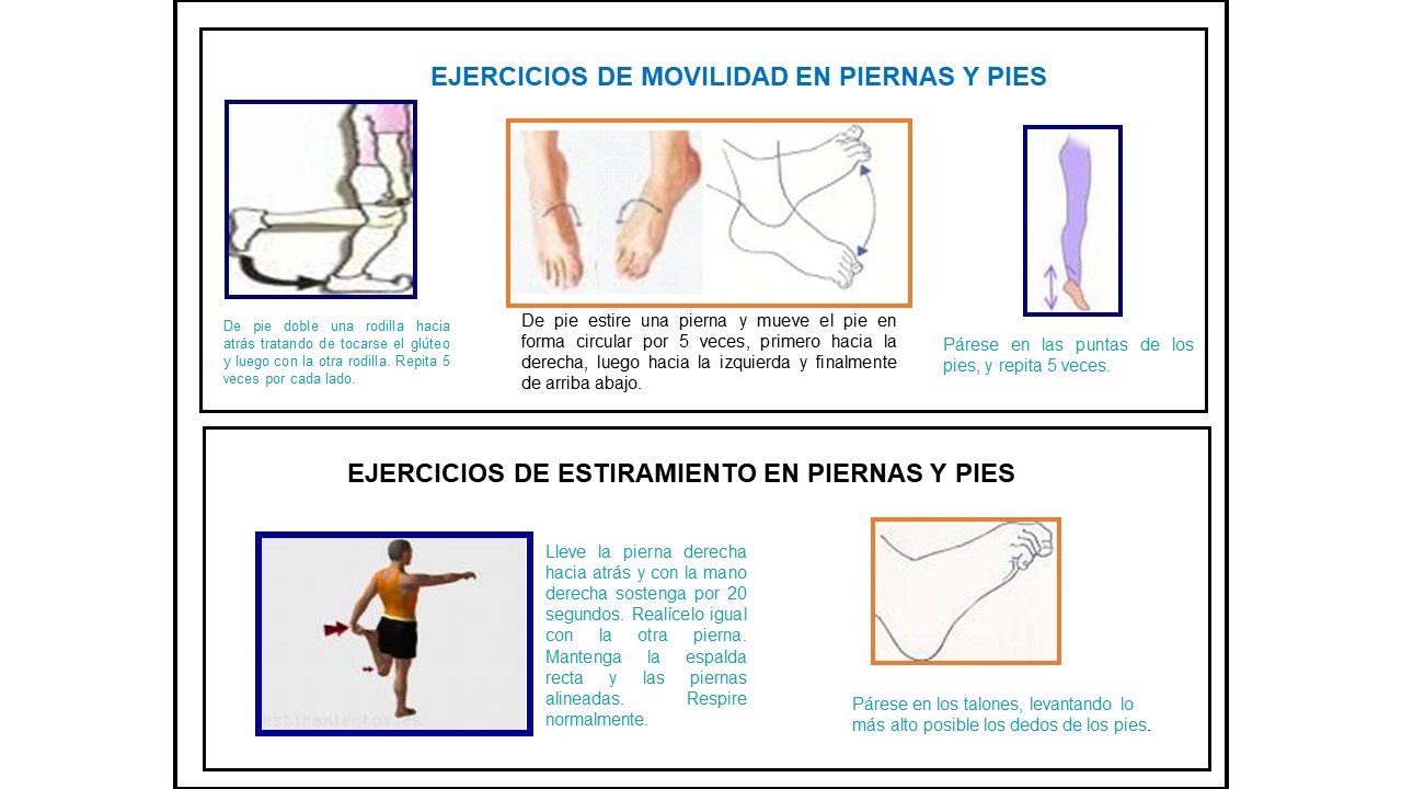 15. pausas activas