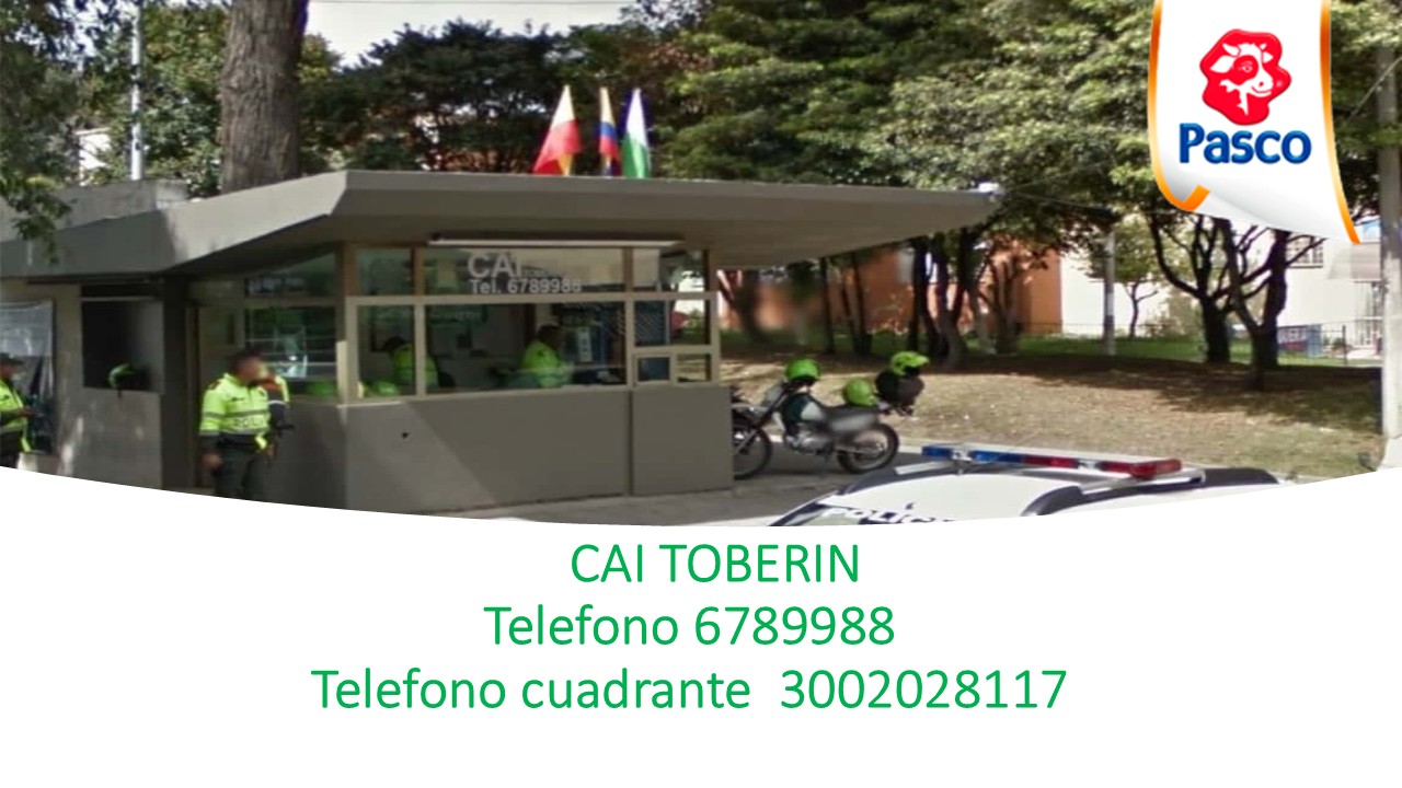 5. cai