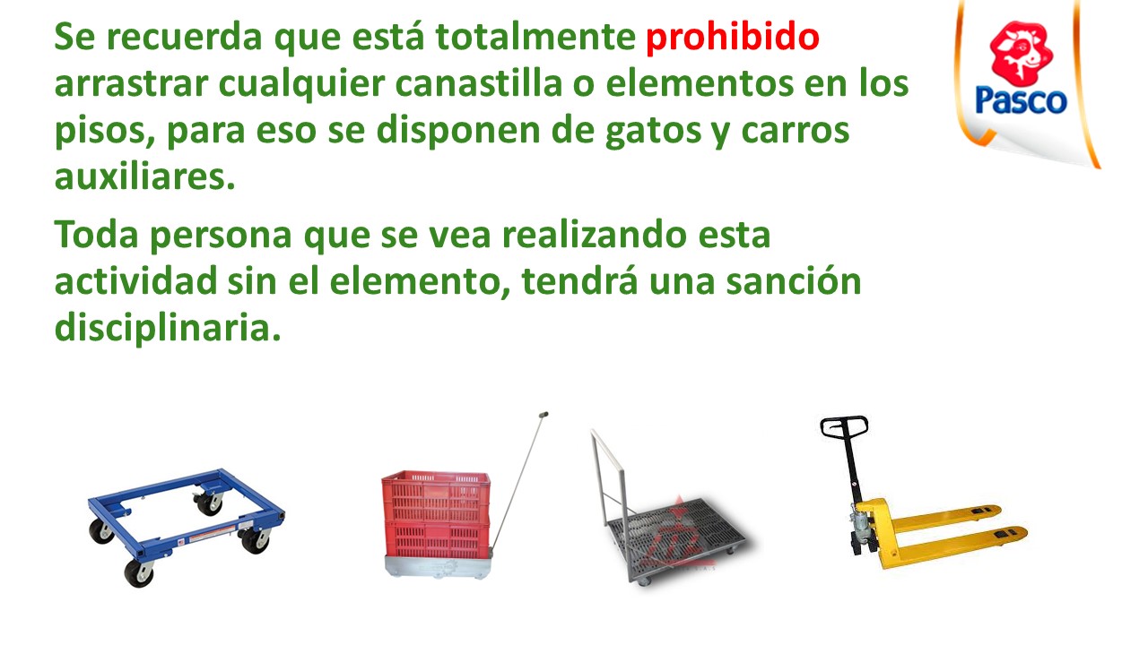 8. canastilla